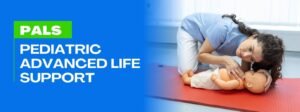 aha pals certification